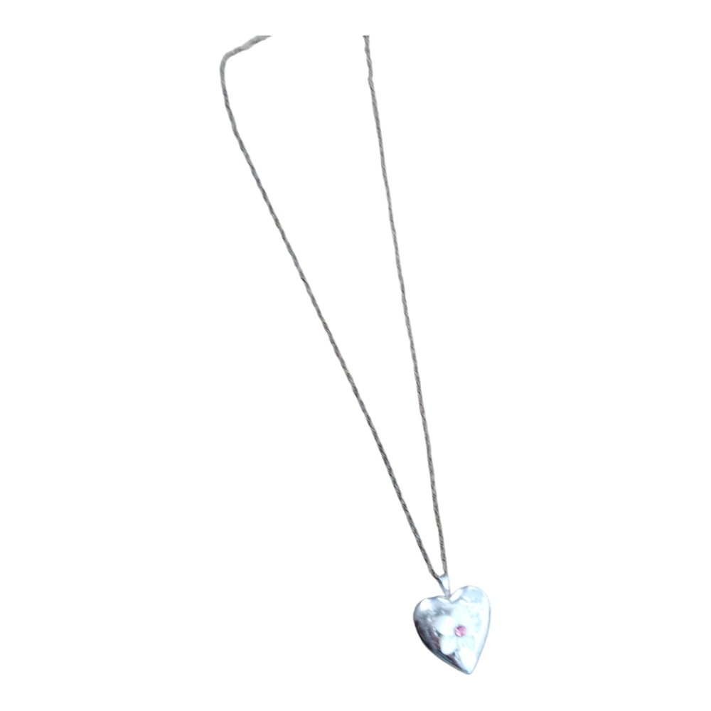 Fred Meyer Jewelers Heart Locket